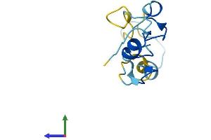 AlphaFold protein structure predicition of Mouse Recombinant Cript Protein, UniprotID O70333