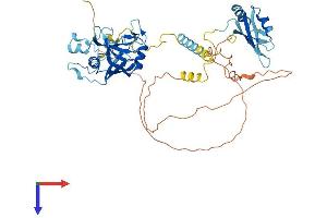 AlphaFold protein structure predicition of Human Recombinant PPIL4 Protein, UniprotID Q8WUA2