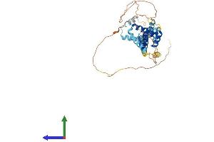 AlphaFold protein structure predicition of Human Recombinant PBX2 Protein, UniprotID P40425