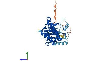 AlphaFold protein structure predicition of Mouse Recombinant Nek7 Protein, UniprotID Q9ES74