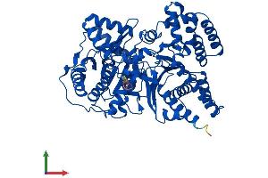 AlphaFold protein structure predicition of Human Recombinant CROT Protein, UniprotID Q9UKG9