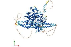 AlphaFold protein structure predicition of Human Recombinant PLCB2 Protein, UniprotID Q00722