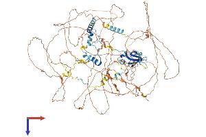 AlphaFold protein structure predicition of Human Recombinant ATXN2L Protein, UniprotID Q8WWM7