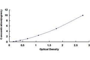 Typical standard curve (SSH3 Kit ELISA)