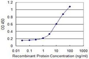 anti-Crystallin, beta A4 (CRYbA4) (AA 96-195) antibody