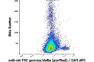 Flow cytometry surface staining pattern of rat splenocytes stained using anti-rat TCR gamma/delta (V65) purified antibody (concentration in sample 0,6 μg/mL, DAM APC).