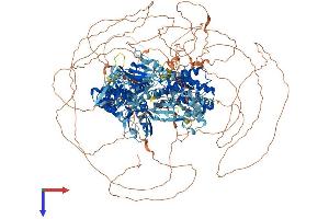 AlphaFold protein structure predicition of Human Recombinant RAPGEF6 Protein, UniprotID Q8TEU7