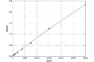 Activating Transcription Factor 4 (Tax-Responsive Enhancer Element B67) (ATF4) ELISA Kit