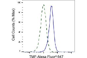 Validation of TMF knockdown using flow cytometry. (Recombinant TMF1 anticorps)