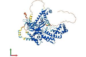 AlphaFold protein structure predicition of Human Recombinant ZBED1 Protein, UniprotID O96006