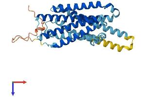 AlphaFold protein structure predicition of Mouse Recombinant Mc1r Protein, UniprotID Q01727