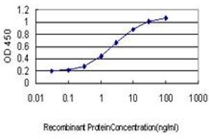 Detection limit for recombinant GST tagged MAN1B1 is approximately 0.