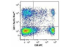 Flow Cytometry (FACS) image for anti-Granzyme B (GZMB) antibody (Pacific Blue) (ABIN2662180)