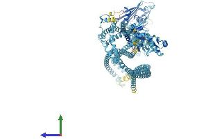 AlphaFold protein structure predicition of Human Recombinant SMC1B Protein, UniprotID Q8NDV3