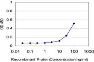 Detection limit for recombinant GST tagged GLP2R is approximately 10ng/ml as a capture antibody. (GLP2R anticorps  (AA 69-178))