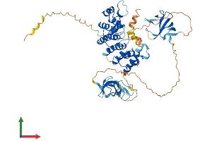 AlphaFold protein structure predicition of Human Recombinant CLIP3 Protein, UniprotID Q96DZ5