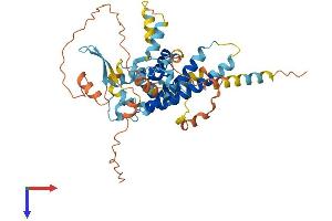 AlphaFold protein structure predicition of Human Recombinant PPP1R36 Protein, UniprotID Q96LQ0