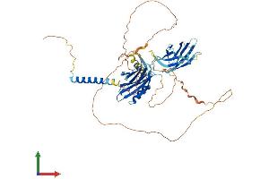 AlphaFold protein structure predicition of Mouse Recombinant Syt14 Protein, UniprotID Q7TN84