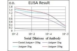 ELISA image for anti-NCK Adaptor Protein 1 (NCK1) antibody (ABIN1108388)