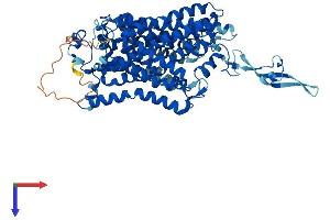 AlphaFold protein structure predicition of Human Recombinant SLC6A14 Protein, UniprotID Q9UN76