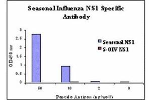 Image no. 1 for anti-Influenza Non Structural 1 antibody (Influenza A Virus H1N1) (ABIN478148) (Influenza A NS1 anticorps)