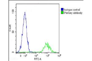 Overlay histogram showing Raji cells stained with (ABIN652257 and ABIN2841071)(green line). (IL1A anticorps  (AA 177-206))