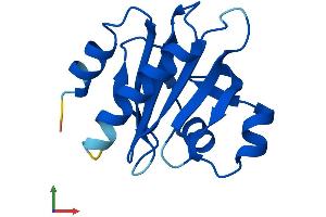 AlphaFold protein structure predicition of Human Recombinant PFN3 Protein, UniprotID P60673
