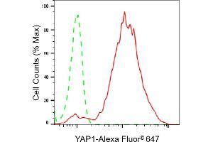 Flow cytometric analysis of YAP1 expression in HepG2 cells using YAP1 antibody (ABIN7800883), 1:2,000). (Recombinant YAP1 anticorps)
