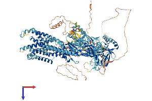 AlphaFold protein structure predicition of Mouse Recombinant Atp8b3 Protein, UniprotID Q6UQ17