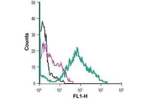Cell surface detection of ANO6 in live human MEG-01 megakaryoblastic leukemia cell line: (black line) Cells. (Anoctamin 6 anticorps  (Extracellular))