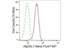 Flow cytometric analysis of Atg16L1 expression in HT- cells using Atg16L1 antibody (ABIN7797670), 1:2,000).