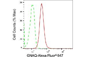 Flow cytometric analysis of GNAQ expression in C2C12 cells using GNAQ antibody (ABIN7800932), 1:2,000).