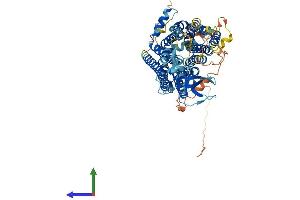 AlphaFold protein structure predicition of Human Recombinant SLCO6A1 Protein, UniprotID Q86UG4