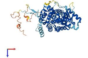 Sestrin 1 (SESN1) (AA 1-492) protein (His tag)