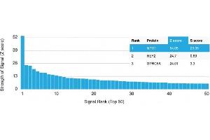 Analysis of Protein Array containing more than 19,000 full-length human proteins using Nucleophosmin-Monospecific Mouse Monoclonal Antibody (NPM1/1902) Z- and S- Score: The Z-score represents the strength of a signal that a monoclonal antibody (MAb) (in combination with a fluorescently-tagged anti-IgG secondary antibody) produces when binding to a particular protein on the HuProtTM array.