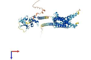 AlphaFold protein structure predicition of Mouse Recombinant Kcng4 Protein, UniprotID Q80XM3