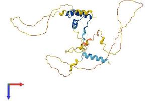AlphaFold protein structure predicition of Human Recombinant OTP Protein, UniprotID Q5XKR4