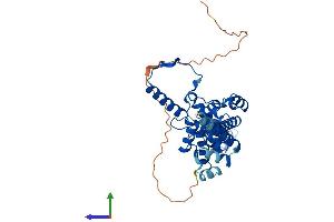 AlphaFold protein structure predicition of Human Recombinant MRPS22 Protein, UniprotID P82650