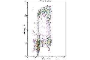 Flow cytometric analysis of the BrdU labeled fraction in a tissue cell culture. (BrdU anticorps)