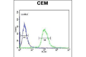 Flow cytometric analysis of CEM cells (right histogram) compared to a negative control cell (left histogram). (UTY anticorps  (C-Term))