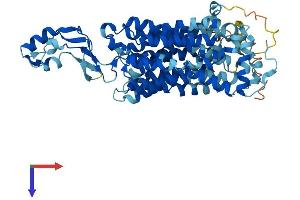 AlphaFold protein structure predicition of Human Recombinant SLC22A4 Protein, UniprotID Q9H015