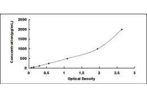 ELISA image for gamma-Interferon-Induced Monokine (CXCL9) ELISA Kit (ABIN416539)