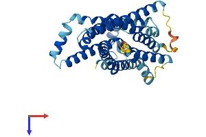 AlphaFold protein structure predicition of Mouse Recombinant Slc35a3 Protein, UniprotID Q8R1T4