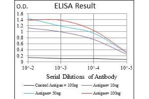 Black line: Control Antigen (100 ng), Purple line: Antigen(10 ng), Blue line: Antigen (50 ng), Red line: Antigen (100 ng),