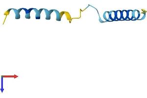AlphaFold protein structure predicition of Mouse Recombinant Serf2 Protein, UniprotID P84102