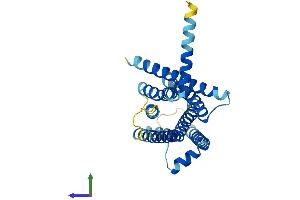 AlphaFold protein structure predicition of Human Recombinant TAS2R10 Protein, UniprotID Q9NYW0