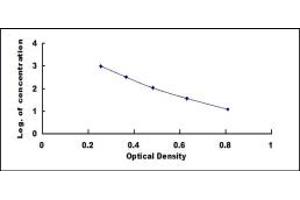 Image no. 1 for Fibroblast Growth Factor 2 (Basic) (FGF2) ELISA Kit (ABIN1873360)