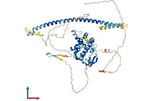 AlphaFold protein structure predicition of Mouse Recombinant Racgap1 Protein, UniprotID Q9WVM1