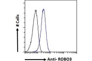ABIN5539585 Flow cytometric analysis of paraformaldehyde fixed U2OS cells (blue line), permeabilized with 0. (ROBO3 anticorps  (Internal Region))
