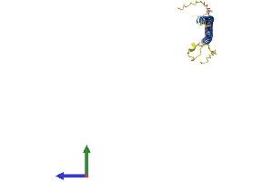 AlphaFold protein structure predicition of Human Recombinant SYCE2 Protein, UniprotID Q6PIF2
